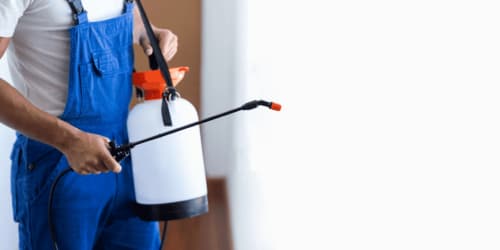 Disinfestazione a Villanova di Guidonia