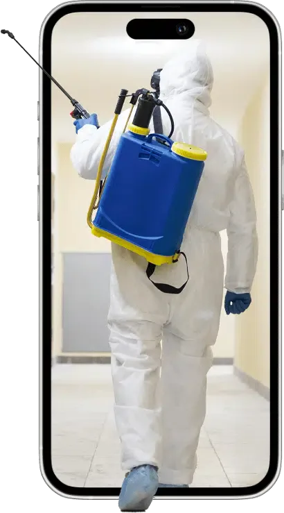grafica telefono con disinfestatore