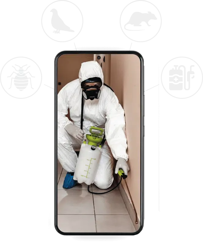grafica telefono con disinfestatore e icone servizio disinfestatore roma