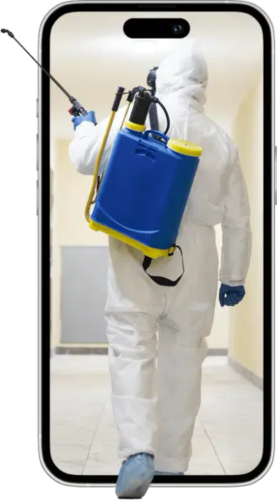 grafica telefono con disinfestatore