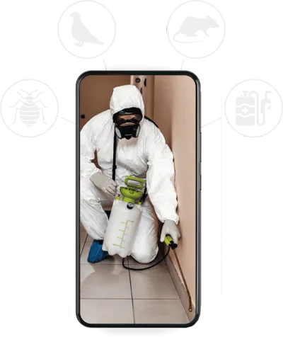 grafica telefono con disinfestatore e icone servizio disinfestatore roma