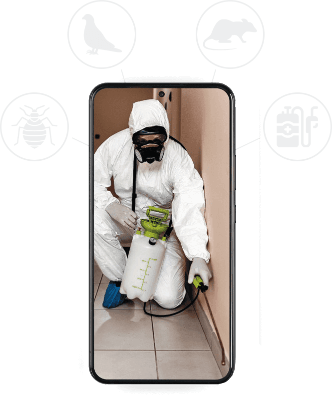 grafica telefono con disinfestatore e icone servizio disinfestatore roma