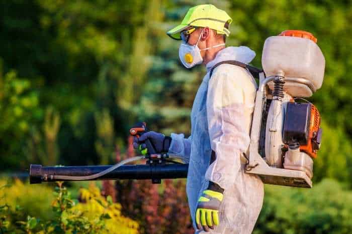 disinfestazione lepidotteri