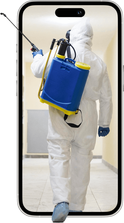 grafica telefono con disinfestatore