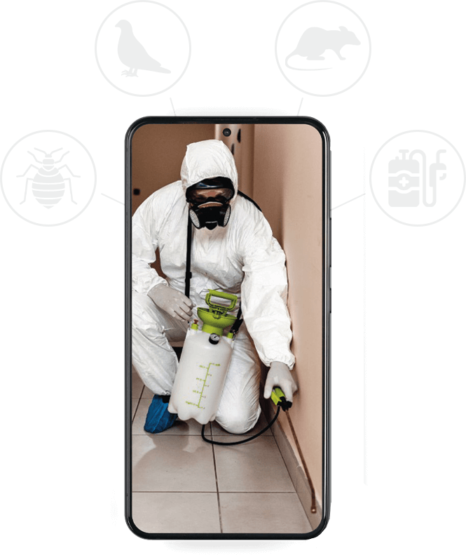 grafica telefono con disinfestatore e icone servizio disinfestatore roma